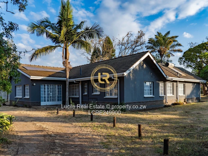 Rare Multi -Home Property with Cottage 