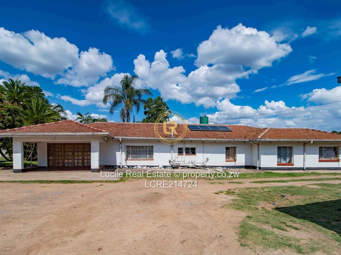 Msasa  - $450K