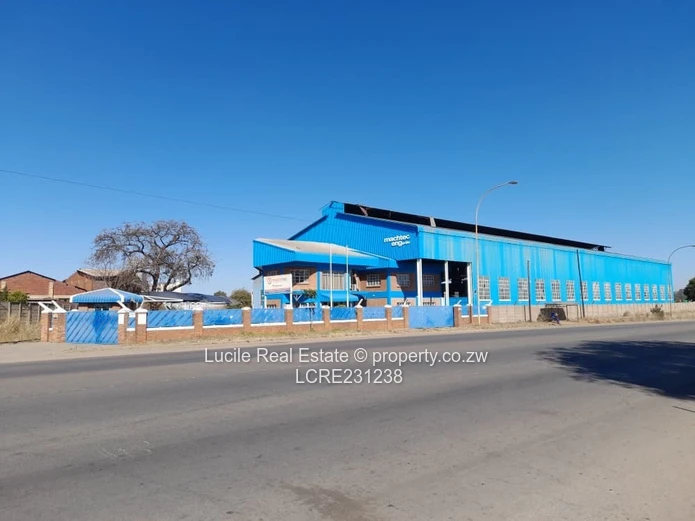 Bulawayo, Industrial