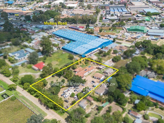 Msasa  - $450K