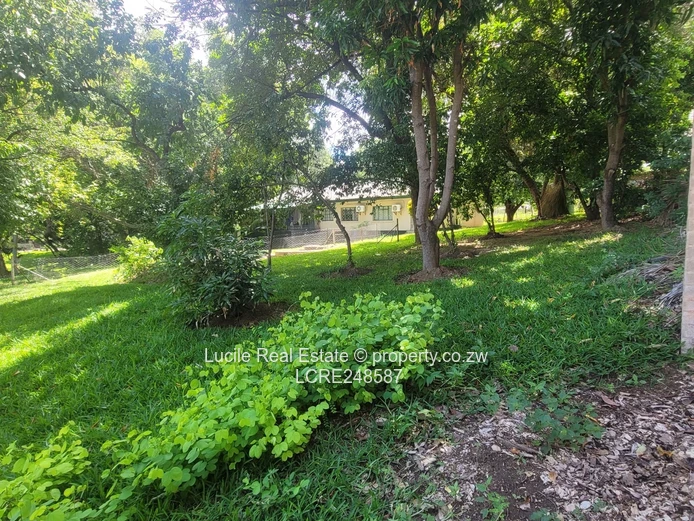 Immaculate Baobab Ridge Home For Sale – Kariba 