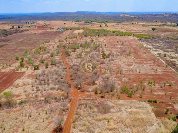 Farm & Agricultural Land