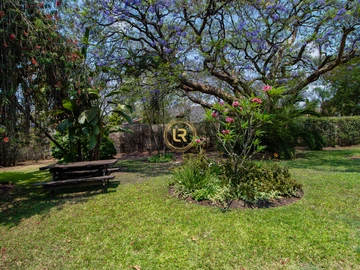 3 Bedroom Flat & Apartment