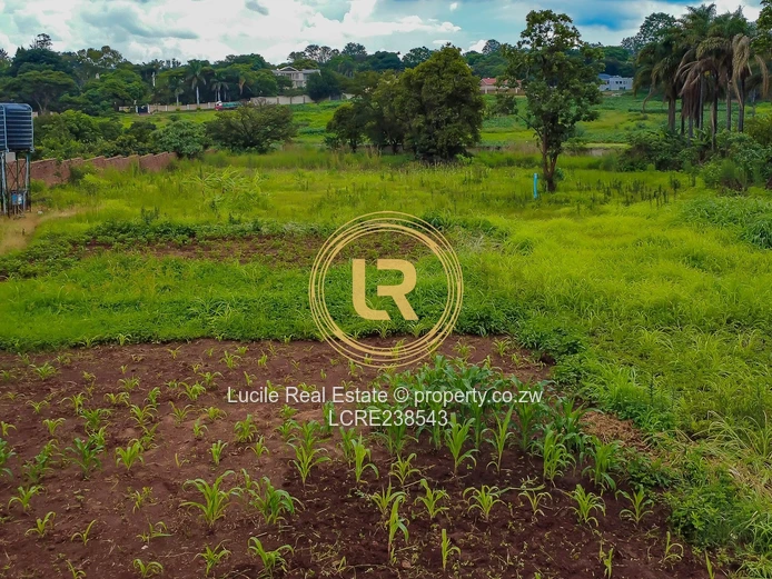 Greystone Park - $380k