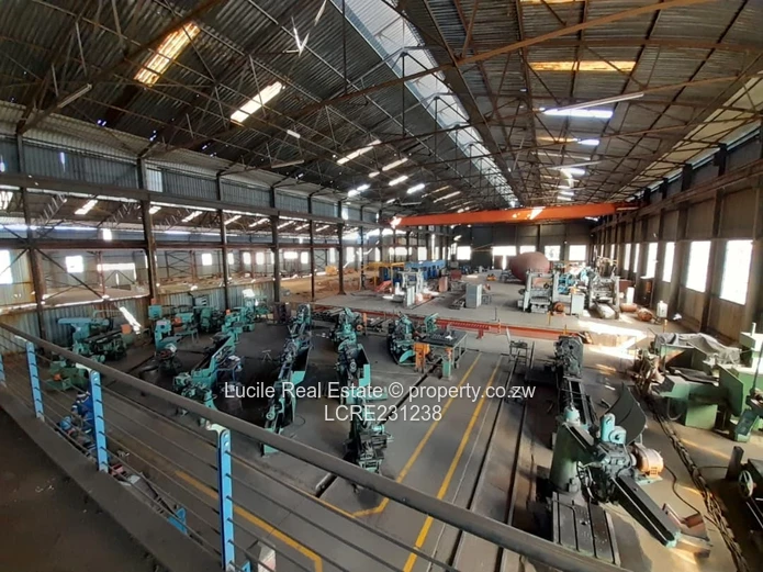 Bulawayo, Industrial