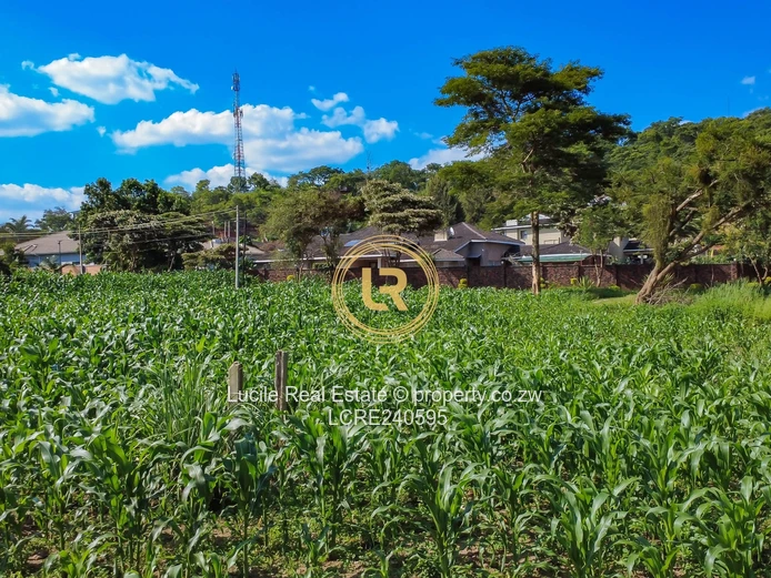 Prime Spacious Residential Stand