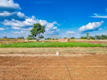 Commercial & Industrial Land