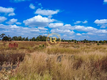 Commercial & Industrial Land