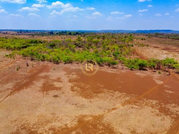 Farm & Agricultural Land