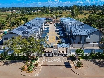 Spacious 3-Bedroom Apartments 
