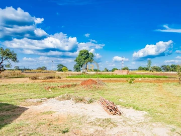 Commercial & Industrial Land