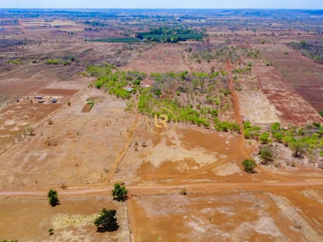 Farm & Agricultural Land
