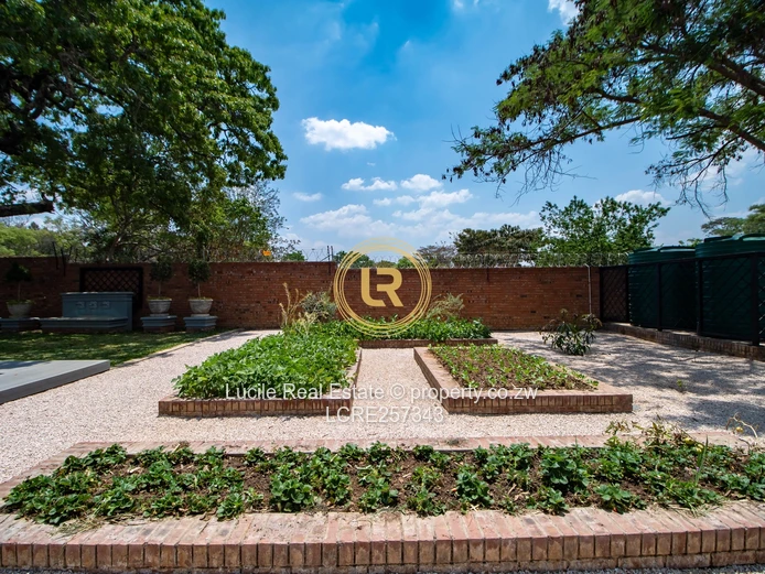 Luxury Living In Helensvale | Fully Furnished Home